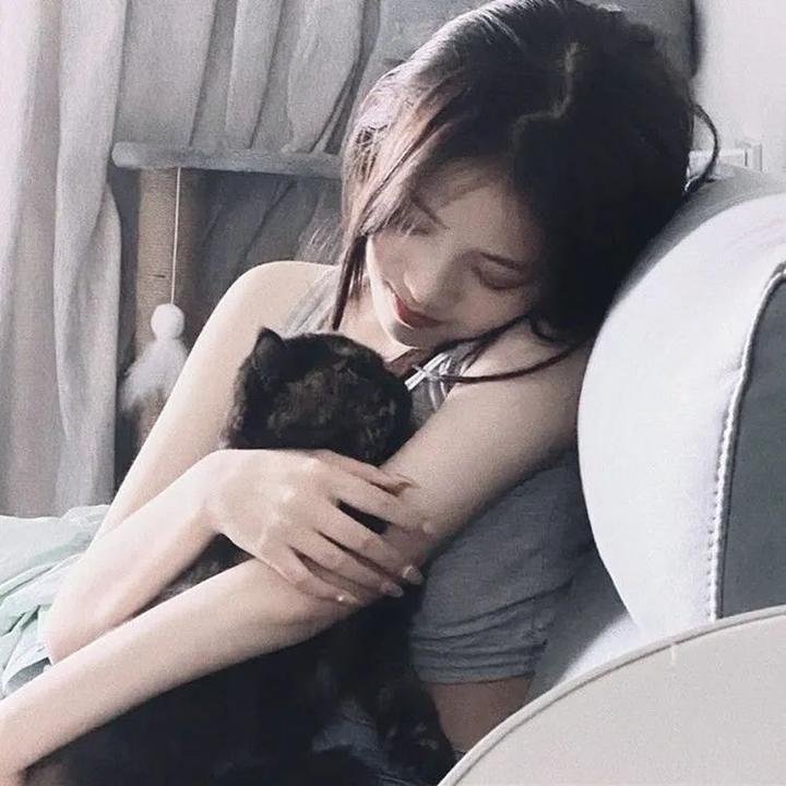 摩登女婿