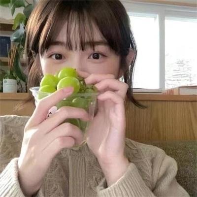 狐狸猎手